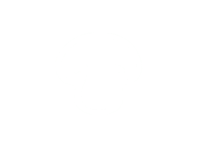 Mushroom Squared